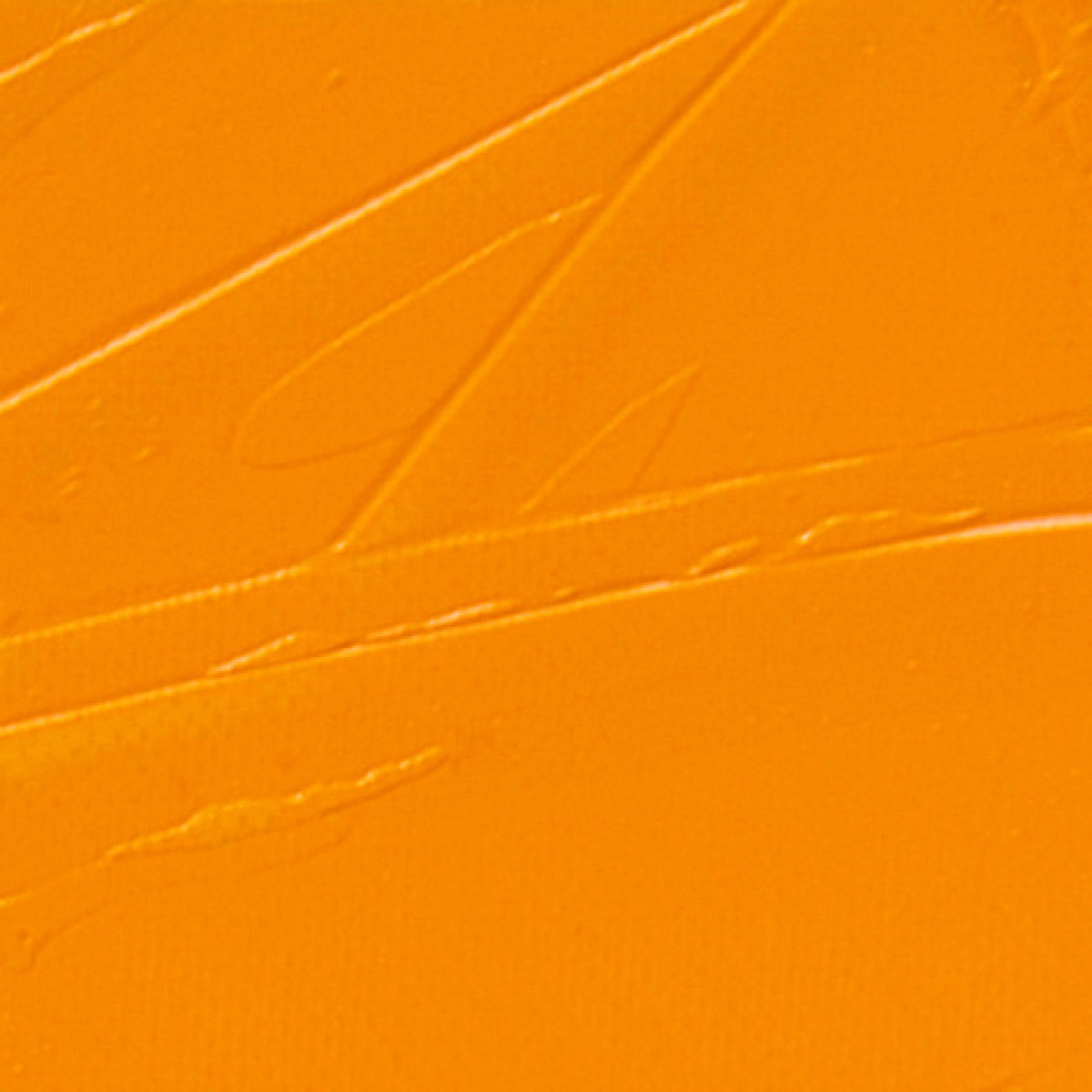 STUDIO XL FINE OIL - GRAIN STILL(53)